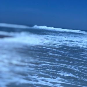 Meet your Posher, Rae